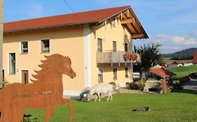 Ponyhof Adam Urlaub auf dem Bauernhof